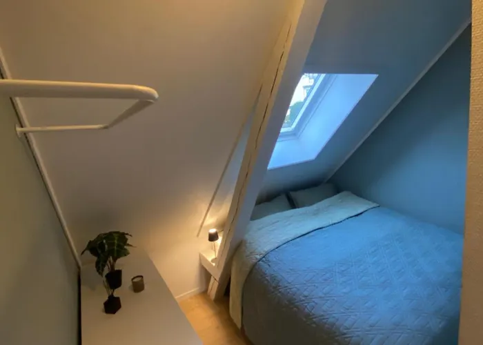 Art Nouveau In The Middle Of Downtown Lägenhet