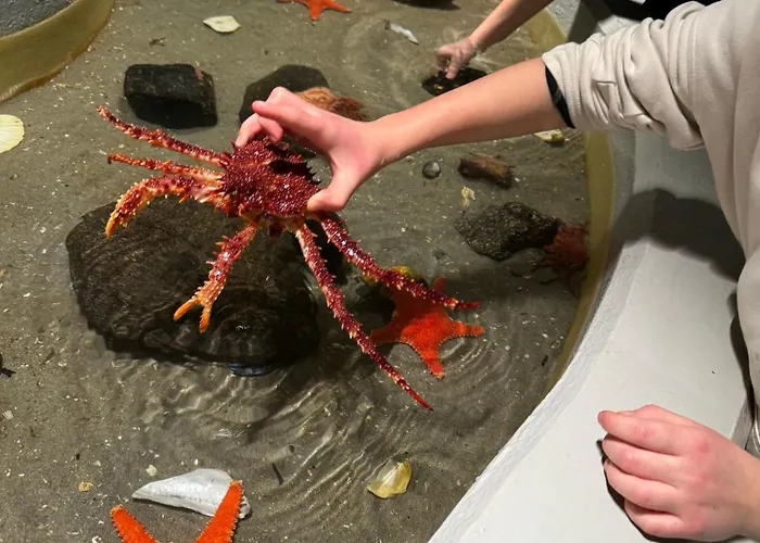 Art Nouveau In The Middle Of Downtown * Ålesund